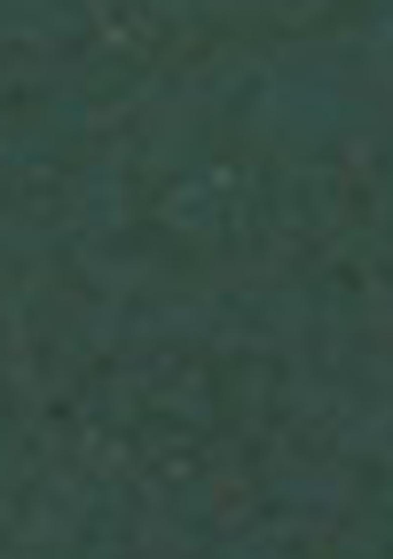 Green Jacquard Weving Designer Banarasi Silk Saree Set