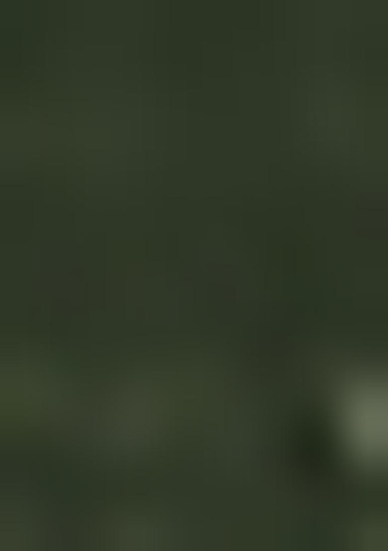 Green Petch And Jardosi And Diamond Hand Work Chiffon Saree Set