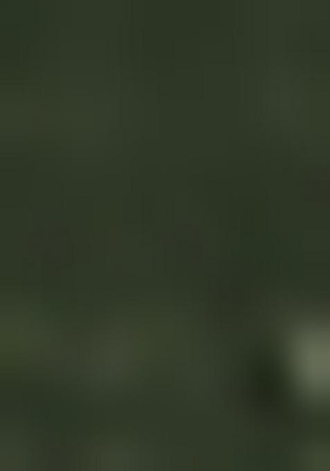 Green Petch And Jardosi And Diamond Hand Work Chiffon Saree Set