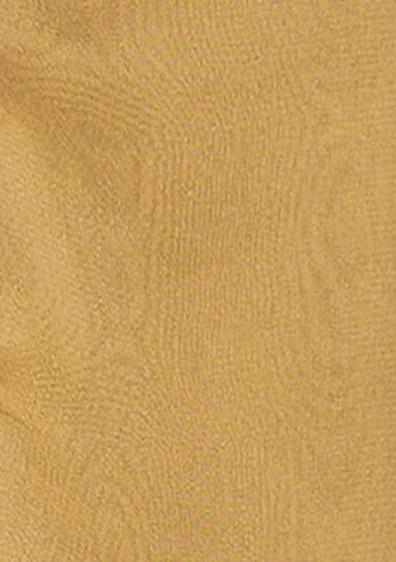 Chiku Brown Solid And Lace Border Rangoli Silk Pre Stitched Saree