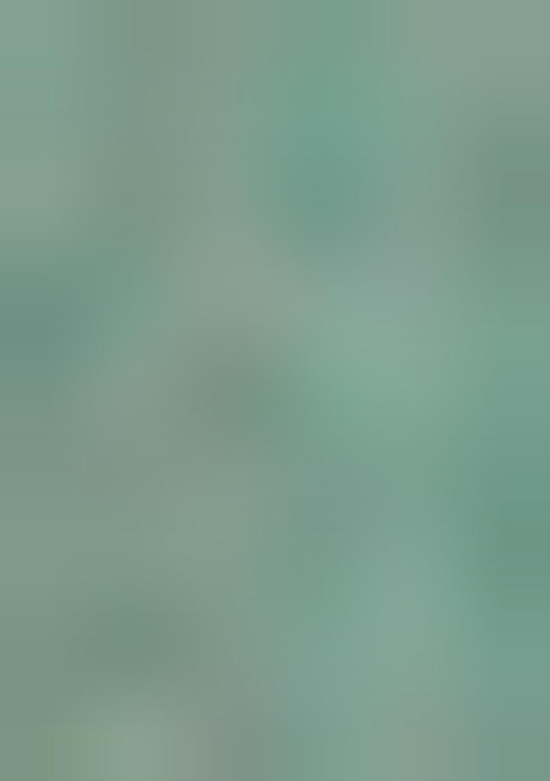 Green Batik Print Cotton Saree Set With Belt