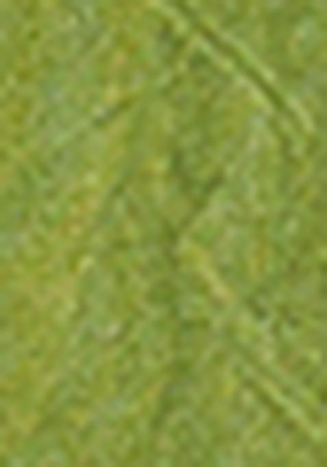 Green Batik Print Cotton Saree Set With Belt