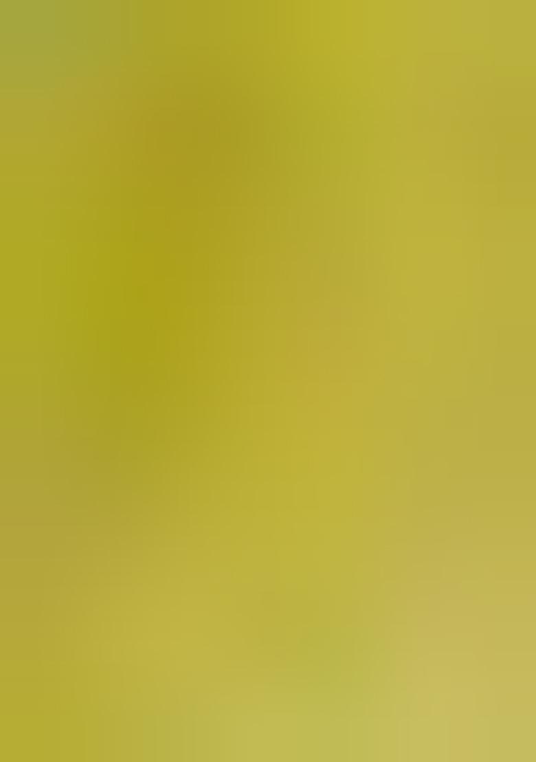 Mehndi Green Digital Print Mul Cotton Saree Set