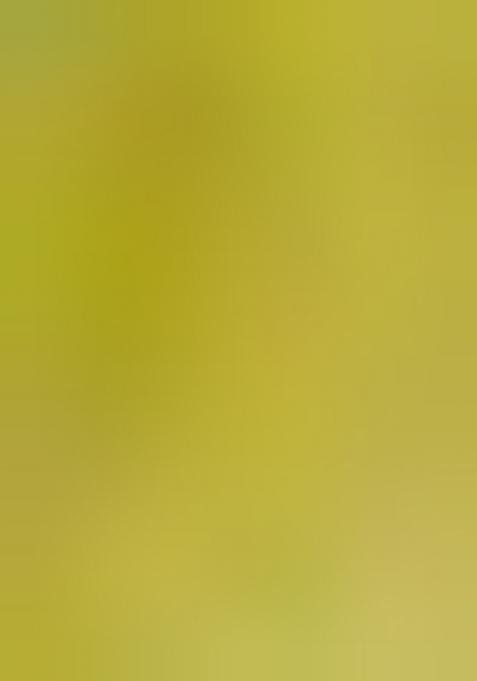 Mehndi Green Digital Print Mul Cotton Saree Set