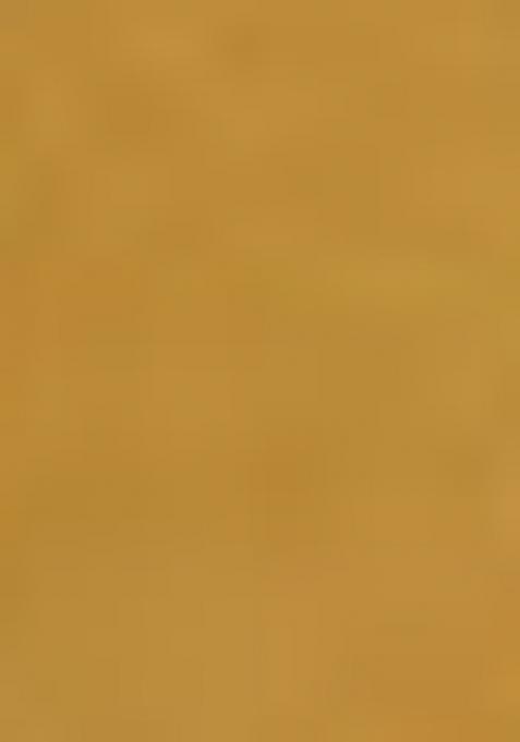 Lemon Yellow Digital Print Mul Cotton Saree Set