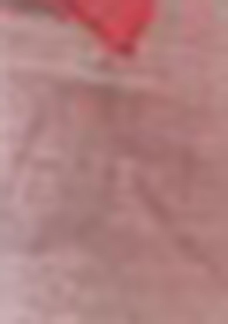 Pink Digital Print Tussar Silk Saree Set