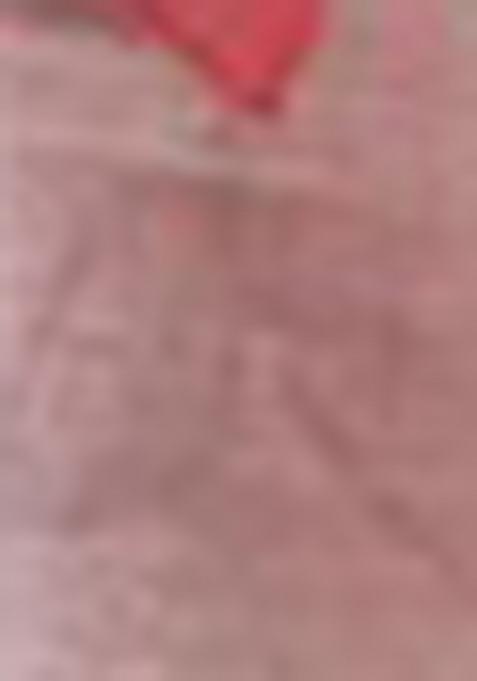 Pink Digital Print Tussar Silk Saree Set