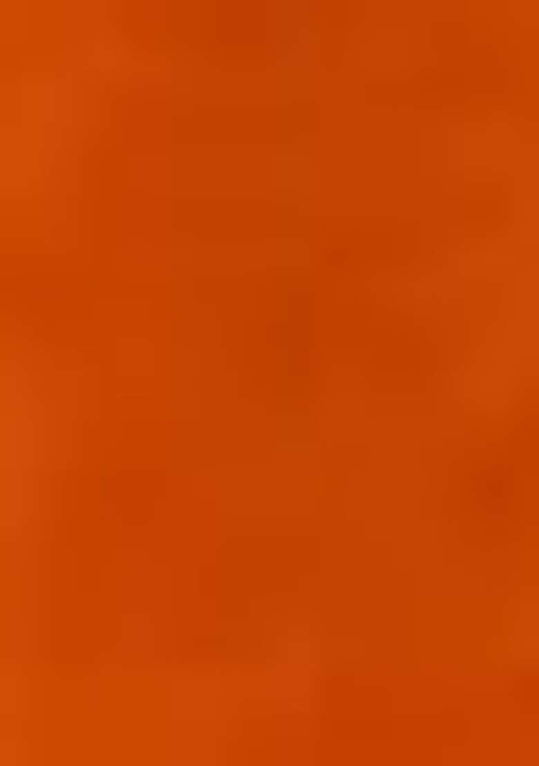 Orange Red Embroidered Organza Saree Set for Diwali and Festive Wear - Indya