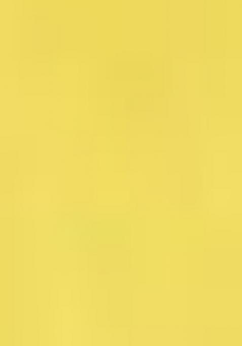 Yellow Ombre Pattern Georgette Saree Set