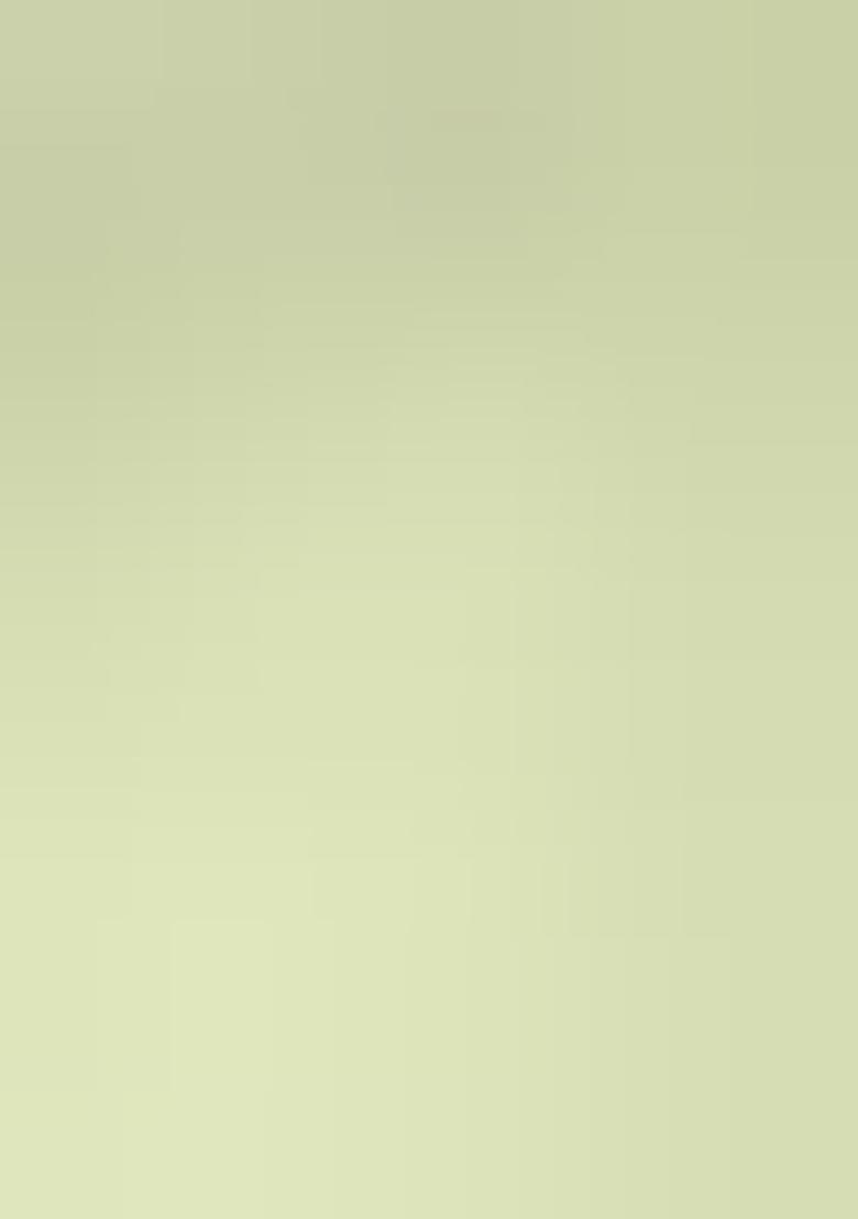 Lime Yellow Handwork Georgette Saree Set