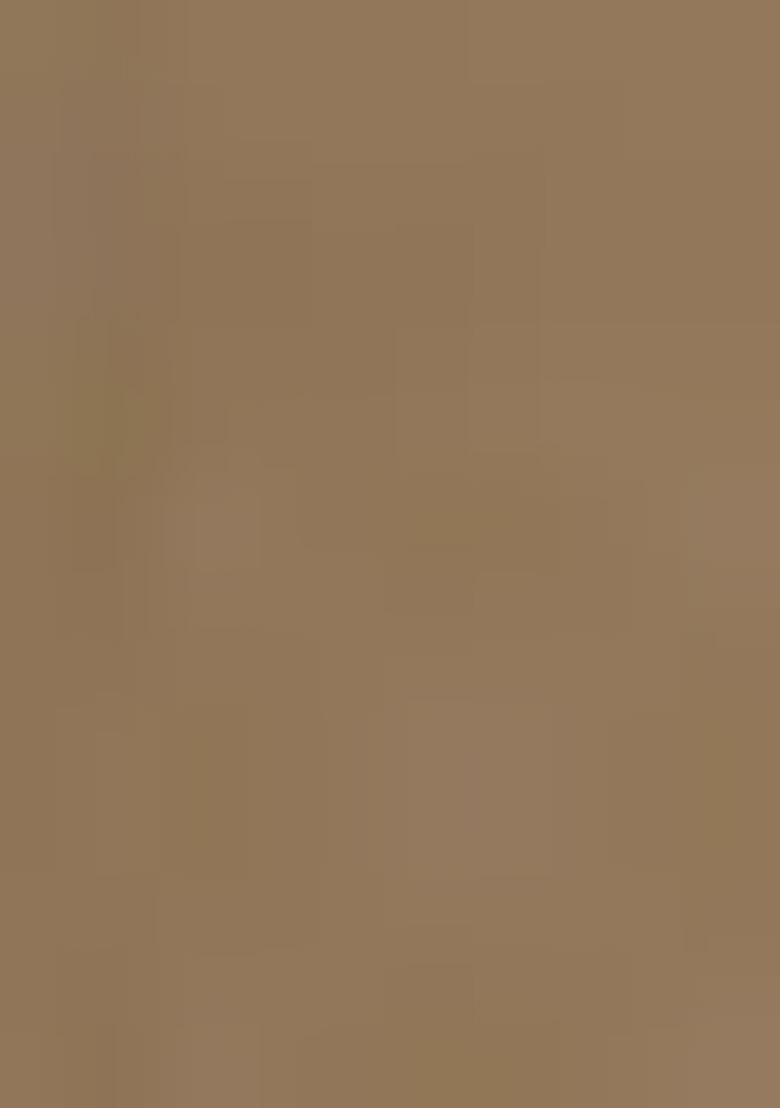 Chiku Brown Lace Border Erode Silk Saree Set