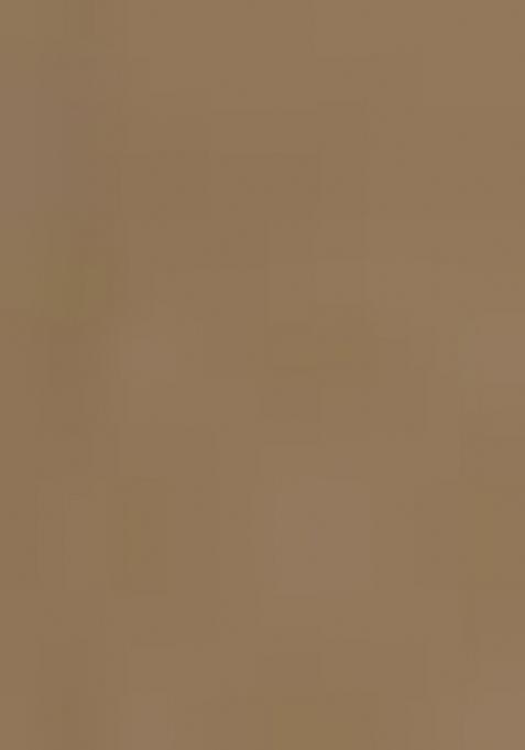 Chiku Brown Lace Border Erode Silk Saree Set