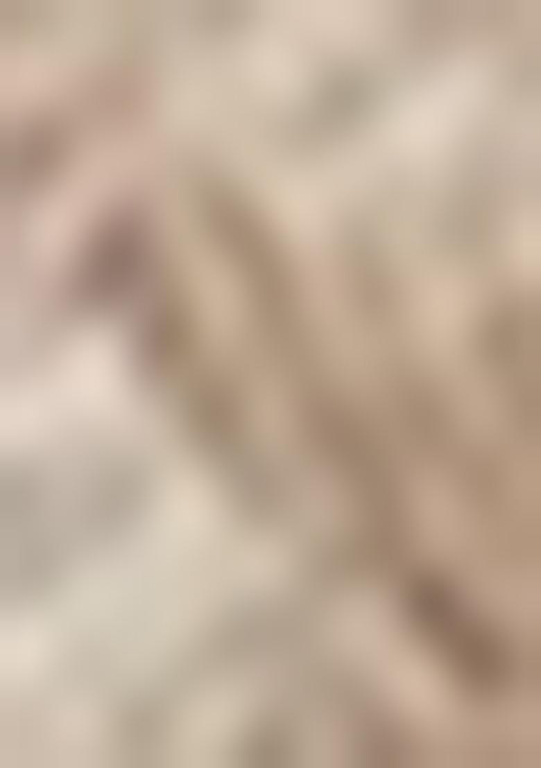 Chiku Brown Lace Border Erode Silk Saree Set