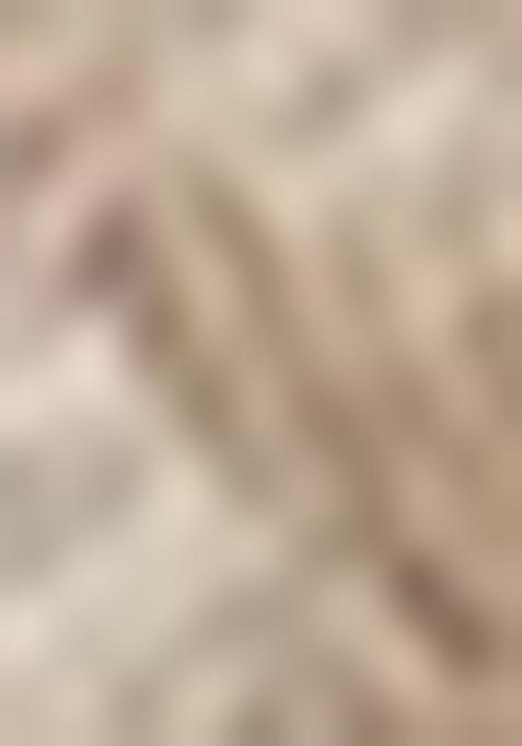 Chiku Brown Lace Border Erode Silk Saree Set