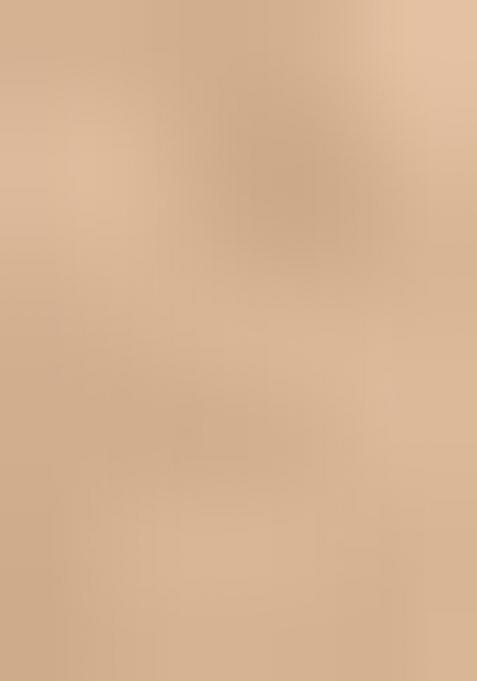 Beige Lace Border Erode Silk Saree Set