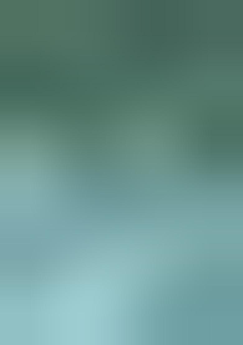 Light Rama Green Embroidered Kota Doriya Saree Set