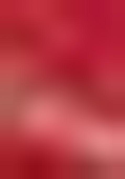 Red Embroidered Kota Doriya Saree Set