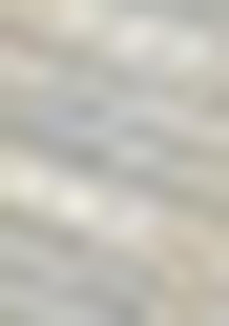 Silver Embroidered Kota Doriya Saree Set