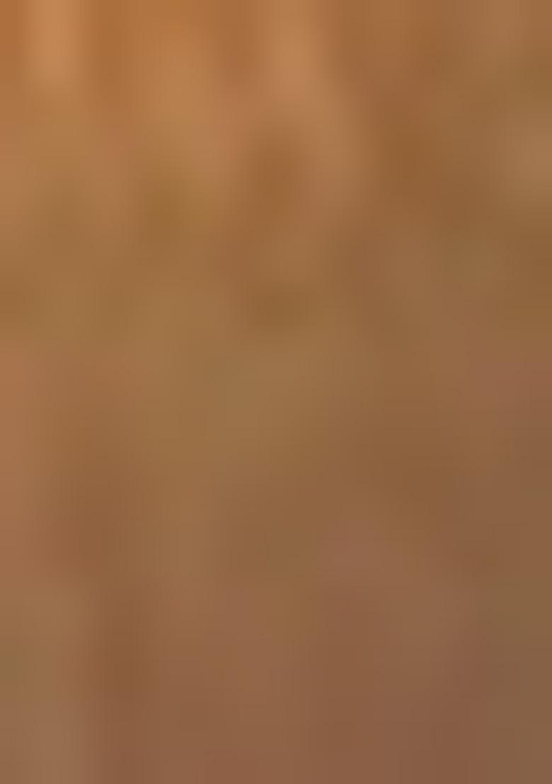 Golden Handwork Lace Fendy Chiffon Saree Set