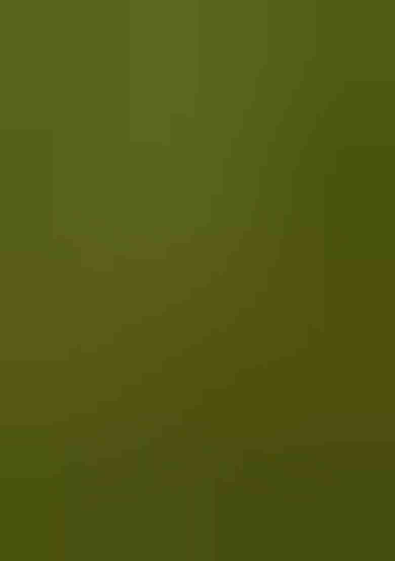 Green Weaving Khadi Cotton Saree Set