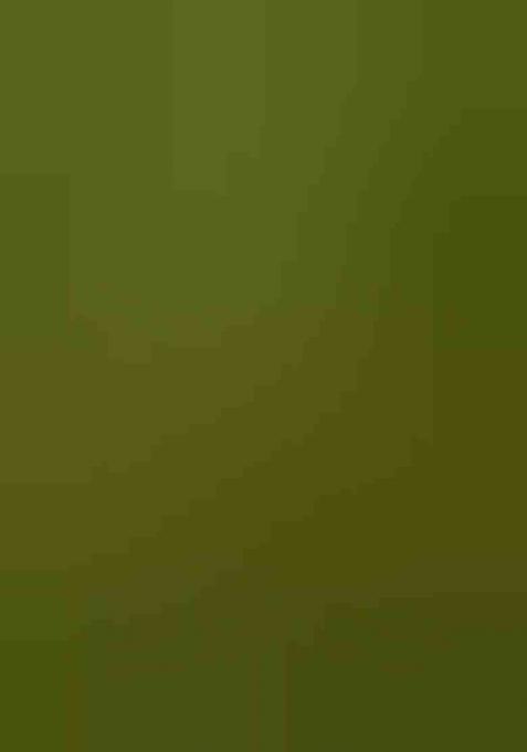 Green Weaving Khadi Cotton Saree Set