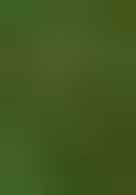 Bottle Green Digital Print Georgette Saree Set