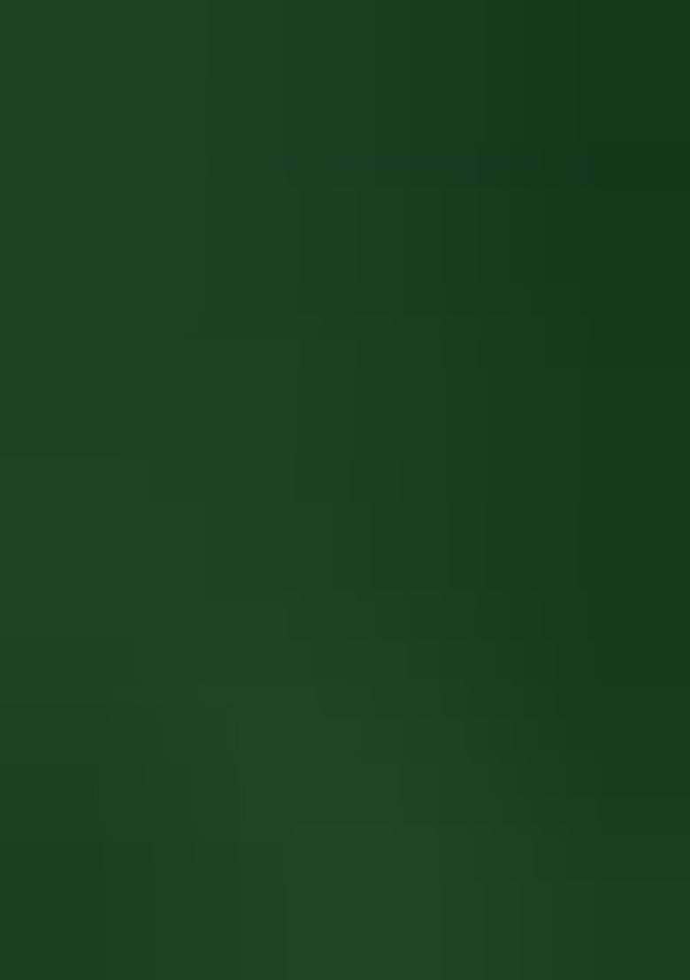 Green Embroidered Faux Georgette Saree Set