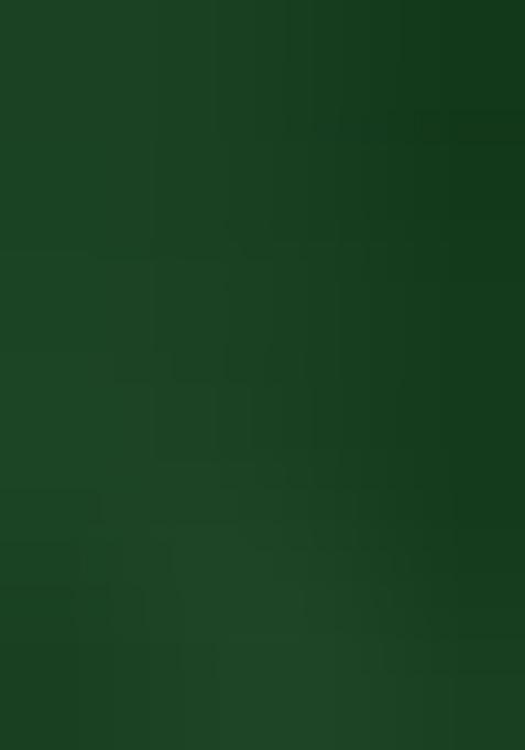 Green Embroidered Faux Georgette Saree Set