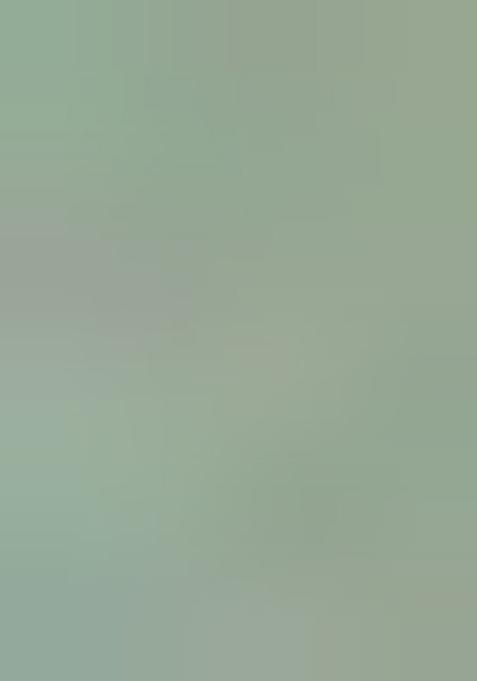 Sea Green Embroidered Net Saree Set