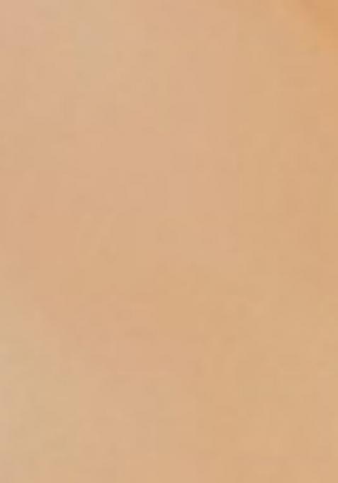 Multicolor Printed Chiffon Saree Set