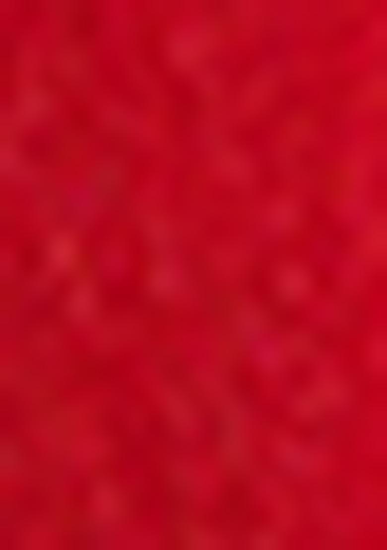 Red Embroidered Chiffon Saree Set