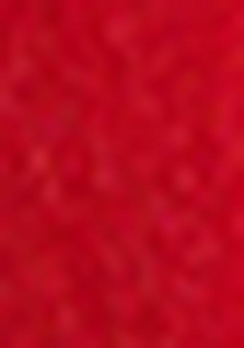 Red Embroidered Chiffon Saree Set