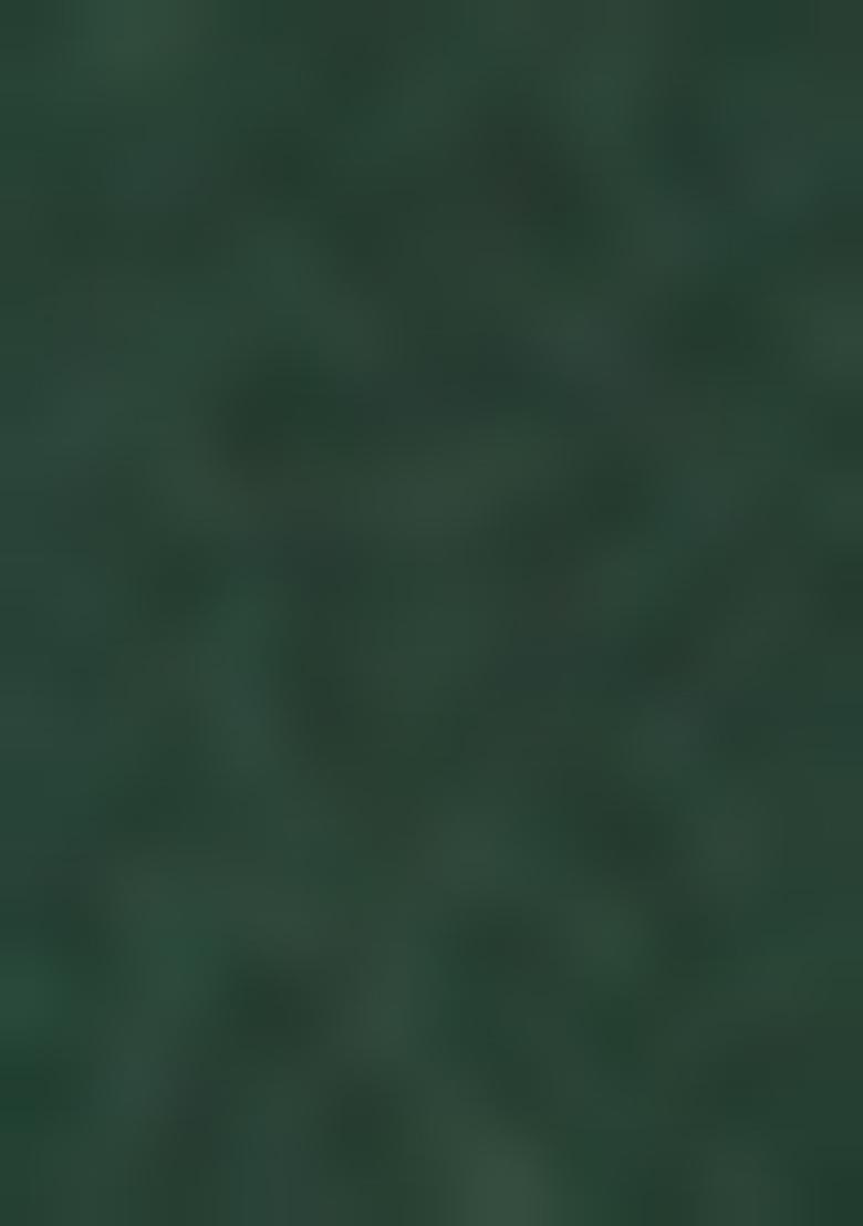 Green Woven Silk Blend Saree Set