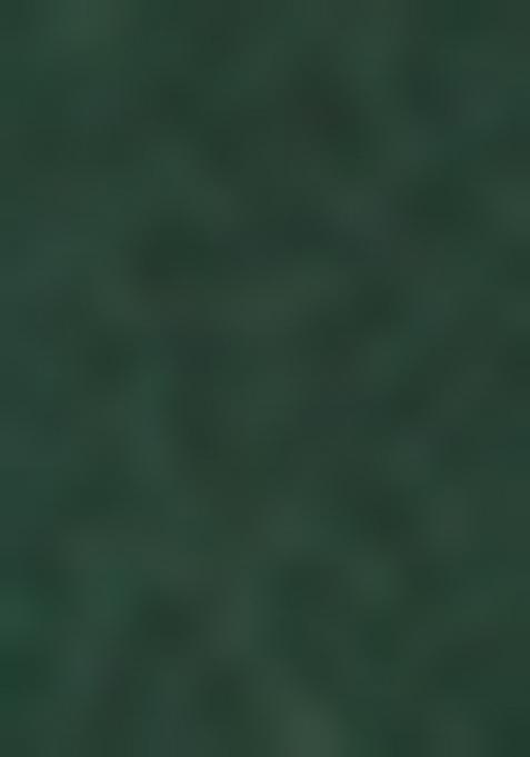 Green Woven Silk Blend Saree Set