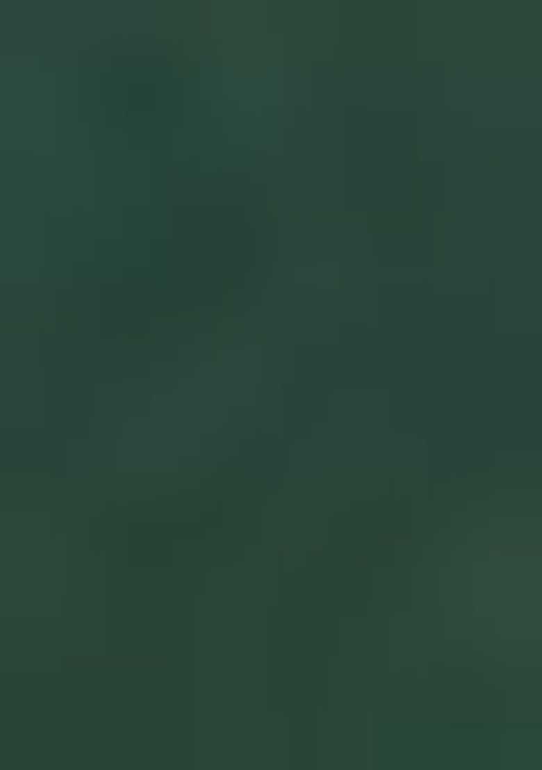 Green Woven Silk Blend Saree Set