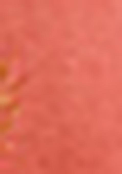 Peach Woven Silk Blend Saree Set