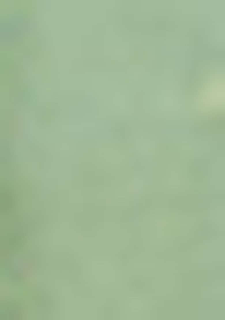 Sea Green Woven Silk Blend Saree Set for Diwali and Festive Wear - Indya