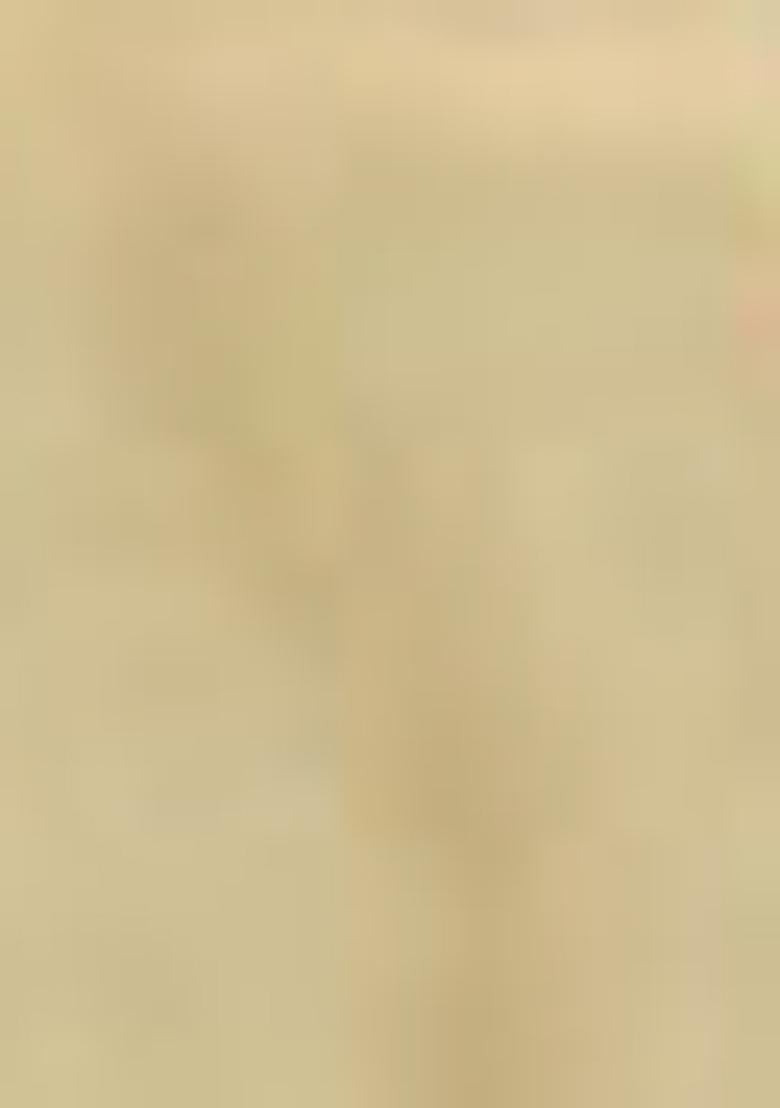 Light Green Woven Silk Blend Saree Set