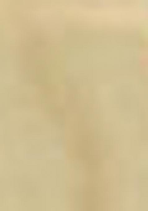 Light Green Woven Silk Blend Saree Set