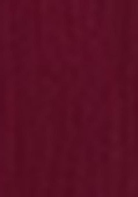 Maroon Embroidered Chiffon Saree Set