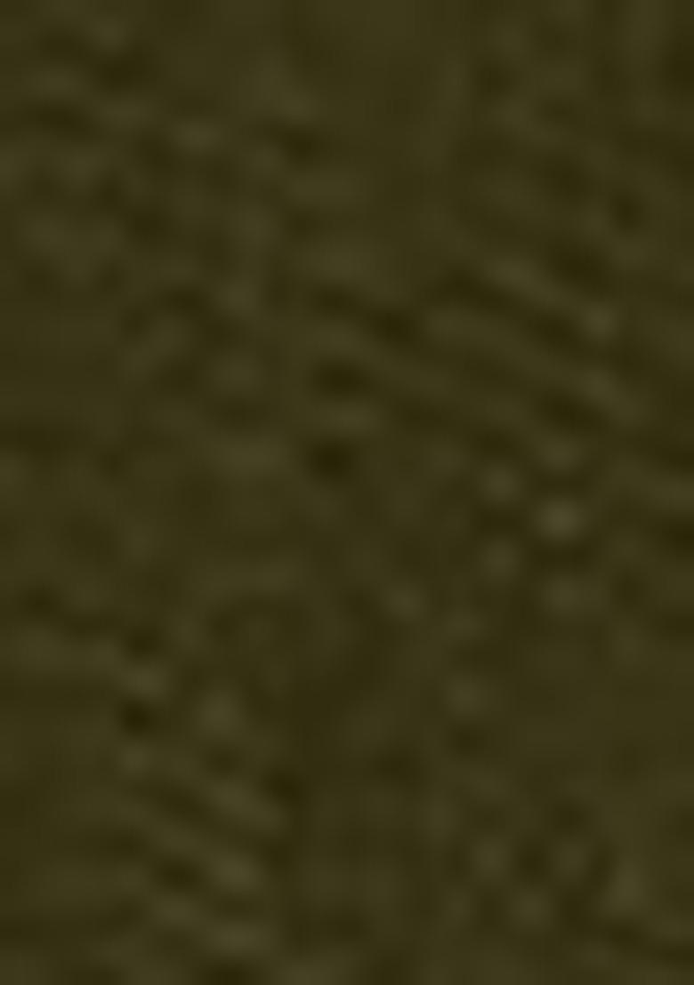 Green Embroidered Chiffon Saree Set