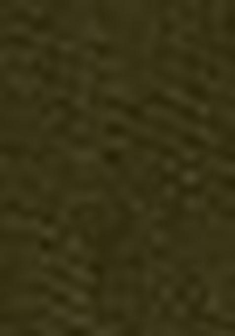 Green Embroidered Chiffon Saree Set