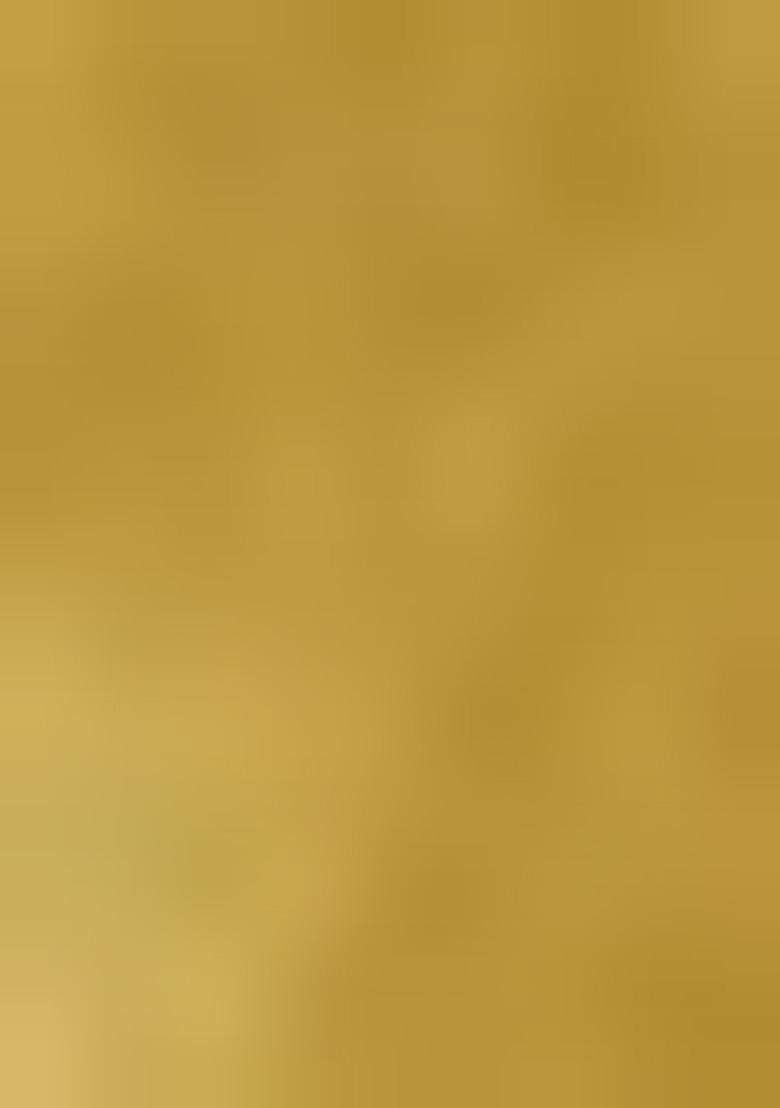 Gold Embellished Chiffon Saree Set