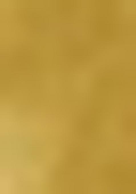 Gold Embellished Chiffon Saree Set