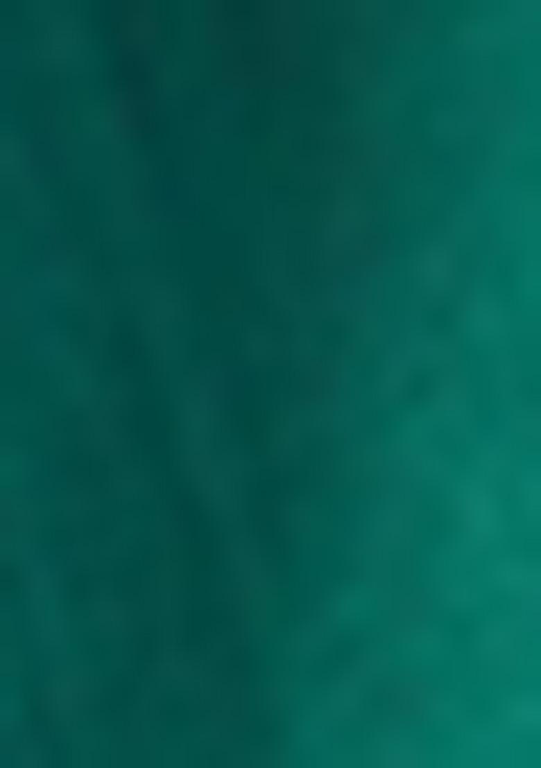 Green Solid Silk Saree Set