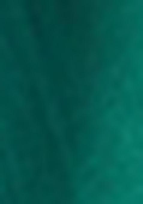 Green Solid Silk Saree Set