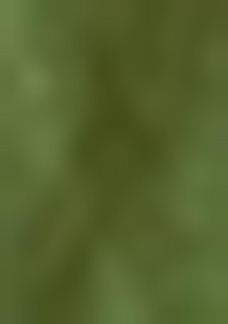 Green Embellished Silk Saree Set