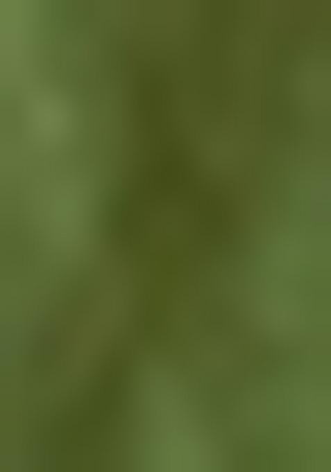 Green Embellished Silk Saree Set