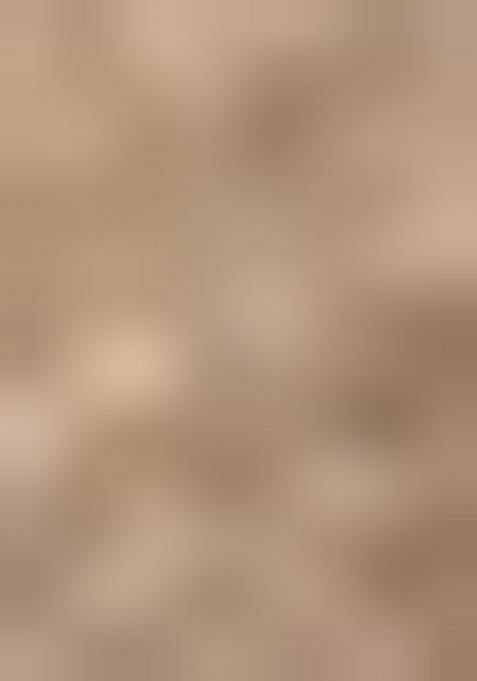 Beige Wevon Designer Linen Saree Set