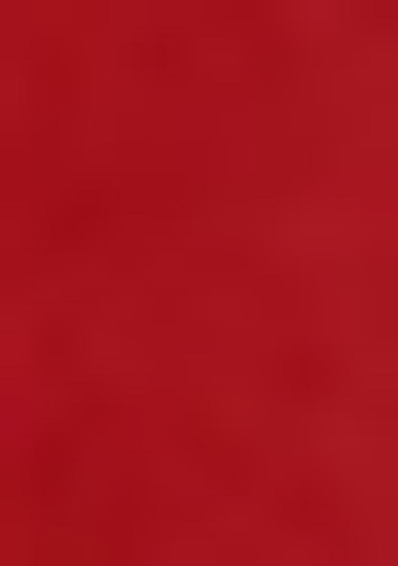 Red Embroidered Net Saree Set